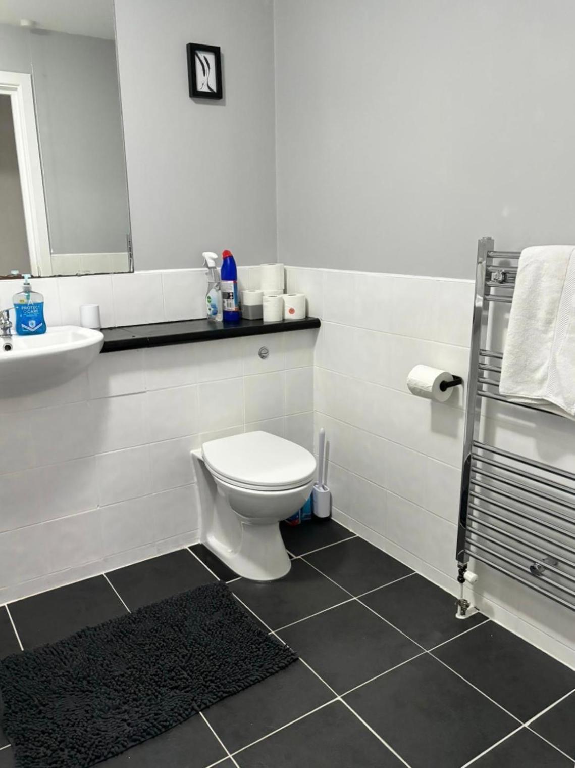 2 Bedroom Ground Floor Apartment ベルファスト エクステリア 写真
